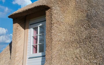 Willstone thatch roof disadvantages